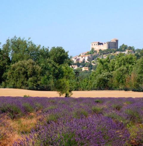 Le Provence Appartement Gréoux-les-Bains Buitenkant foto